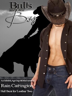 cover image of Bulls and Their Boy
